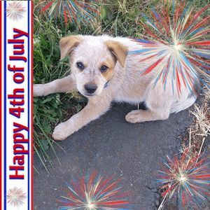 Meet your Posher, Wendy